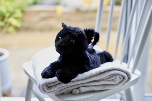 Warmies Black Cat Cozy Plush