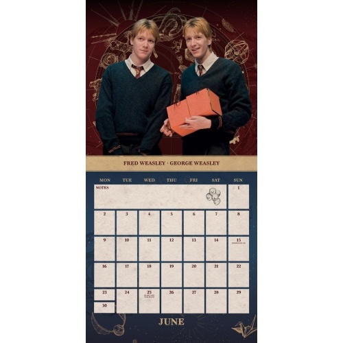 Harry Potter 2025 Wall Calendar