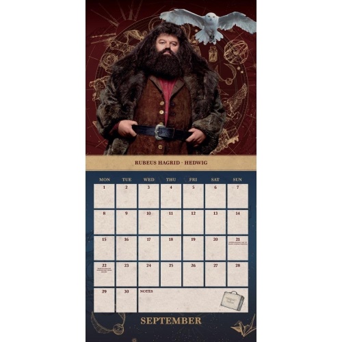 Harry Potter 2025 Wall Calendar