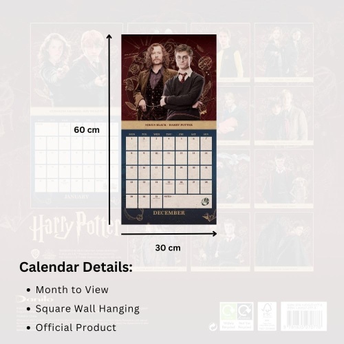 Harry Potter 2025 Wall Calendar