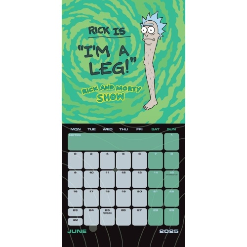 Rick & Morty 2025 Wall Calendar Officially Licensed