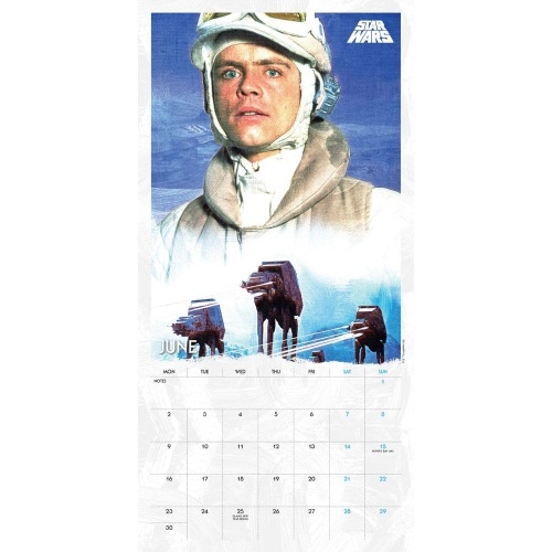 Disney Star Wars Classic 2025 Wall Calendar