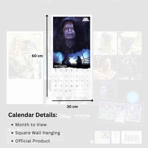 Disney Star Wars Classic 2025 Wall Calendar