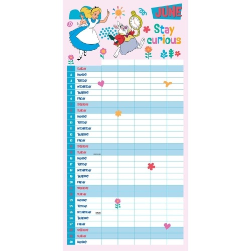 Disney Classics Family Organiser 2025 Calendar