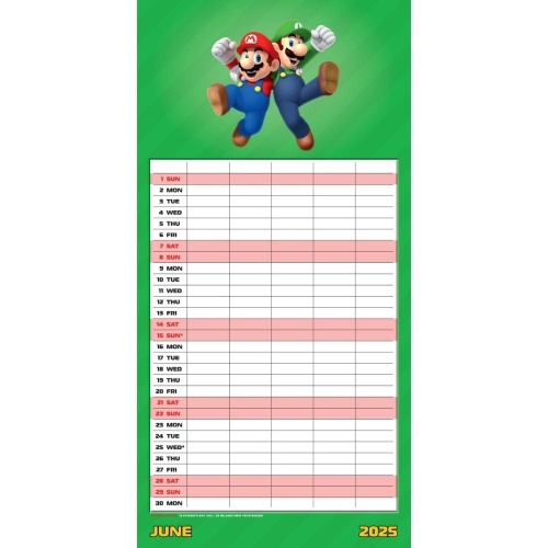 Super Mario 2025 Family Organiser Calendar Officially Licensed