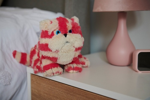 Warmies Bagpuss Cat Cozy Plush