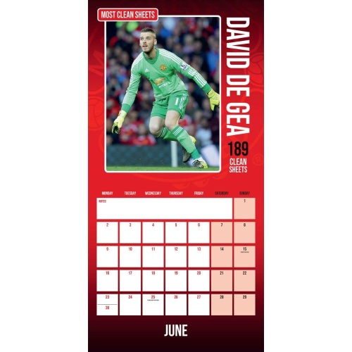 Manchester United FC Legends 2025 Wall Calendar