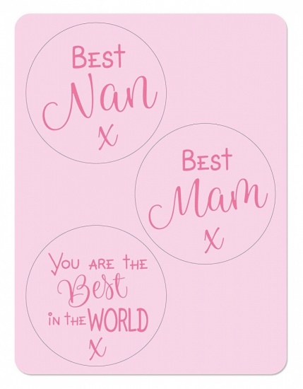 Me to You Tatty Teddy 7'' Personalise Rosette With Stickers Mum Nan Mam Grandma Mummy