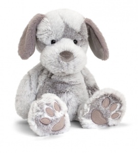 grey dog teddy