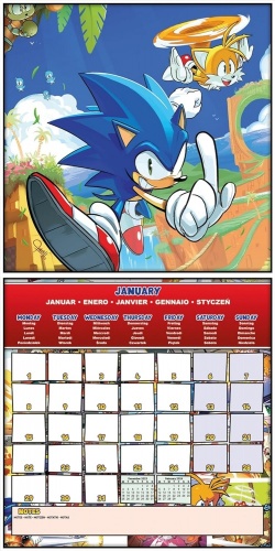 Sonic the Hedgehog 2024 Wall Calendar