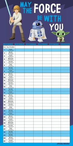 Disney Star Wars 2025 Family Planner Calendar