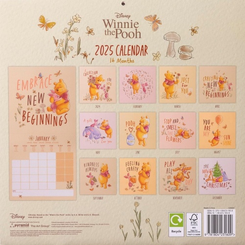 Disney Winnie The Pooh Official 2025 Calendar