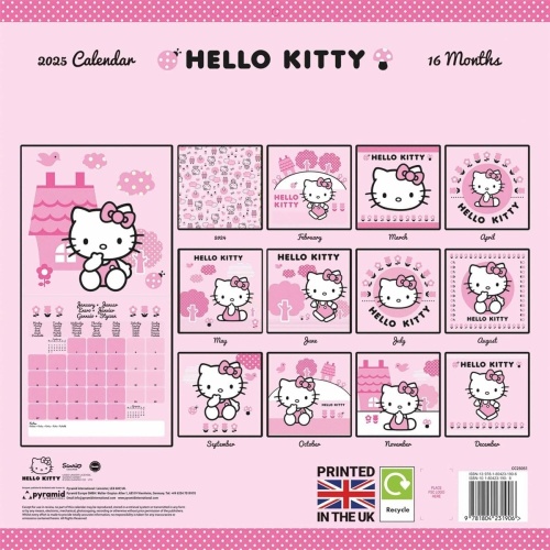 Hello Kitty 2025 Wall Calendar Officially Licensed