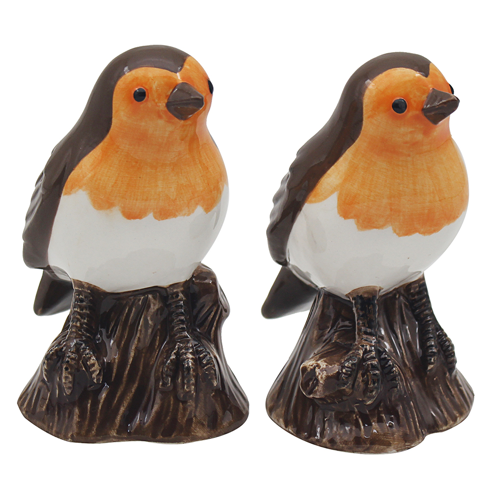 Robin Ceramic Salt and Pepper Cruet Set Robins