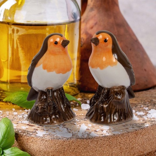 Robin Ceramic Salt and Pepper Cruet Set Robins