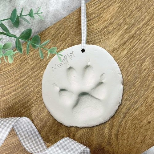 Pet Paw Clay Moulding Kit Air Dry Impression Dog Cat Keepsake Memory Gift