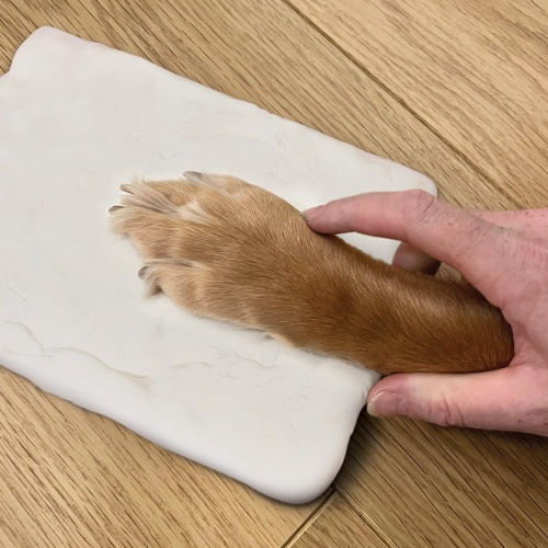 Paw Print Clay Mould & Photo Frame Kit for Dog or Cat Remembrance Gift