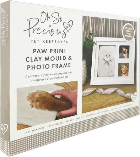 Paw Print Clay Mould & Photo Frame Kit for Dog or Cat Remembrance Gift