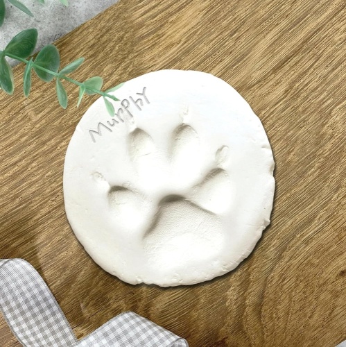 Pet Keepsake Kit - Memory Box, Clay Paw Print Impression, Fur Keepsake Bottle, Ink Pad Kit