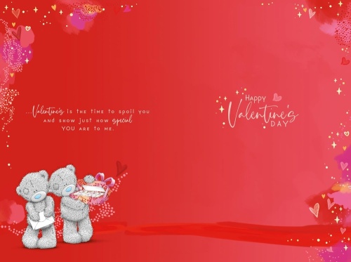 Me to You  Wonderful Partner Valentines Day Card Tatty Teddy